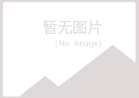 红河县山柏咨询有限公司